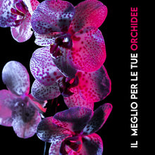 Carica l'immagine nel visualizzatore di Gallery, ZOMA Terriccio per orchidee professionale con bark per orchidee e sfagno cileno 2 l, Terriccio di qualità superiore per 