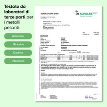 Carica l'immagine nel visualizzatore di Gallery, Omega 3 Vegan 90 Softgel, 2000mg, 600mg DHA, 300mg EPA, da Olio Algale