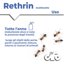 Carica l'immagine nel visualizzatore di Gallery, CIFO Rethrin Multinsetto - Insetticida Formiche Scarafaggi Ragni Vespe e Altri Insetti, Azione Abbattente e Residuale, D
