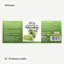 Carica l'immagine nel visualizzatore di Gallery, Illica, Concime Per Idrocoltura 100ml Fertilizzante Idroponica, Nutrimento Piante Idroponiche Vere Da Interno, Piante Ve