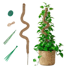 Carica l'immagine nel visualizzatore di Gallery, Tutore per Piante Monstera 120cm Extra Spesso Ø 4cm - Palo di Muschio Pieghevole in Fibra di Cocco con Anima in Allumini