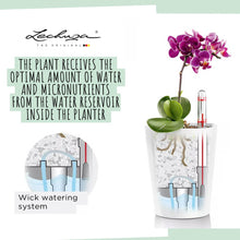 Carica l'immagine nel visualizzatore di Gallery, LECHUZA DELTINI rosso scarlatto lucido 14919