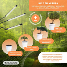 Carica l'immagine nel visualizzatore di Gallery, Mobiclinic®, Lampada per piante, Growflex, 3 modalità, 6000k, 10 livelli di luminosità, Spettro completo, Timer, Rotazio