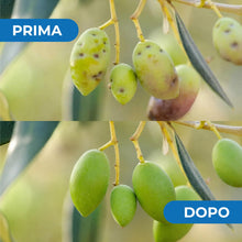 Carica l'immagine nel visualizzatore di Gallery, Caolino corroborante potenziatore difese naturali MOSCA DELL'OLIVO (1 kg)