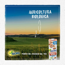 Carica l'immagine nel visualizzatore di Gallery, BJORG Bevanda Mandorla Intensa Biologica 0% Zuccheri 6x1L