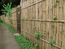 Carica l'immagine nel visualizzatore di Gallery, VERDELOOK | Arella Beach in cannette di bamboo schiacciato, 3x1 m, per Coperture Recinzioni e Decorazioni, Arredo Estern