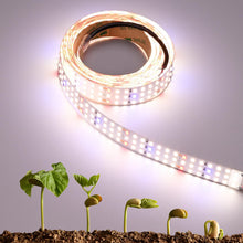 Carica l'immagine nel visualizzatore di Gallery, Luce a LED per Piante 24V 2M 840 LED Spettro Completo Alto PPFD 60W Flessibile Tagliabile e Autoadesiva Striscia LED per