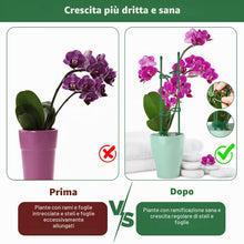 Carica l'immagine nel visualizzatore di Gallery, Realure 15 Pz Supporto per Piante, Regolabili Pali di Sostegno per Piante