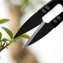 Carica l'immagine nel visualizzatore di Gallery, Kit Strumenti Giardinaggio Mini 12 Pezzi per Bonsai, Piante Grasse, Pianta in Vaso, Include Attrezzi Forbici, Rastrellin
