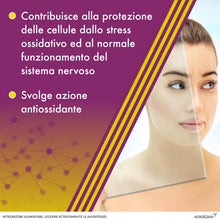 Carica l'immagine nel visualizzatore di Gallery, Alanerv, Integratore Alimentare di Acido Alfa-Lipoico e Acido Gamma-Linoleico, Vitamine e Selenio, per la Protezione del