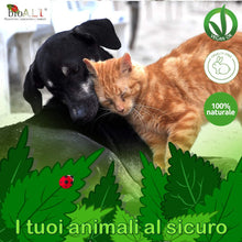 Carica l'immagine nel visualizzatore di Gallery, Olio di Neem bioA.L.T Pronto all’uso Efficace Naturale per Piante ornamentali Alberi da frutto e Ortaggi Contro ogni Avversità del Terreno come Afidi Cimici e Insetti Infestanti