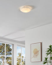 Carica l'immagine nel visualizzatore di Gallery, Eglo lampada da soffitto Mars 1, lampada da parete a 1