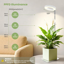 Carica l'immagine nel visualizzatore di Gallery, Luce crescita 12V Grow Light per piante da interno, spettro completo 660nm, lampada piante con timer 8/12/16H, smart plu