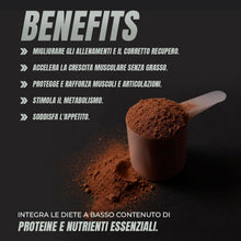 Carica l'immagine nel visualizzatore di Gallery, Whey Protein | Proteina Whey pura con Collagene + Magnesio | Migliora i tuoi allenamenti | Protegge e aumenta la massa muscolare | 1000g di proteina (Cioccolato)