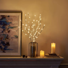 Carica l'immagine nel visualizzatore di Gallery, EAMBRITE Illuminazione decorativa per casa, con rami di betulla bianchi a 60 luci LED, per esterni, splendida decorazione per Natale, Pasqua, Halloween, feste