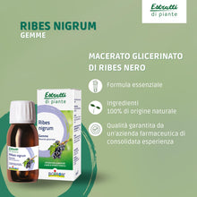 Carica l'immagine nel visualizzatore di Gallery, Estratti di Piante Ribes Nigrum - Macerato Glicerinato di Ribes Nero 60 ml