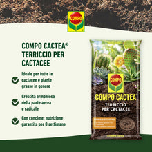 Carica l'immagine nel visualizzatore di Gallery, COMPO CACTEA Terriccio per Cactacee, Per una crescita omogenea delle piante, 5 l