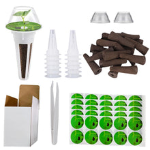 Carica l'immagine nel visualizzatore di Gallery, 125PCS spugne per crescita Kit di Baccelli di Semi,sistema di coltivazione idroponico con 12 cesti per piante, 50 etiche