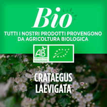 Carica l'immagine nel visualizzatore di Gallery, Biancospino Bio 400mg - 200 compresse - Crataegus laevigata -Bio Atlantic