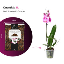 Carica l'immagine nel visualizzatore di Gallery, GebEarth® - Terriccio per Orchidee, Substrato per Orchidee da 1 Litro【 Terriccio Professionale per tutte le Orchidee 】