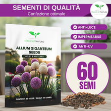 Carica l'immagine nel visualizzatore di Gallery, Magic of Nature: Semi di Aglio Gigante (60 pz) - Allium giganteum