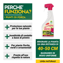 Carica l&#39;immagine nel visualizzatore di Gallery, Albagarden - PIRETRO Insetticida Piante Naturale - Elimina Afidi, Mosca Bianca, Moscerini E Lepidotteri - Rapida Azione Abbattente Per Tutti i Tipi Di Piante - Spray Pronto Uso 500 ml