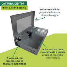Carica l'immagine nel visualizzatore di Gallery, Windhager Trappola Multipla per Topi vivi - è costituito da Acciaio zincato - trappole Topi Interno - Facile da Usare, F