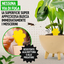 Carica l'immagine nel visualizzatore di Gallery, Super Ninja Trappole Moscerini Piante da Interno, 30 Pezzi