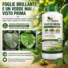 Carica l'immagine nel visualizzatore di Gallery, FERTIBONO Olio di Neem 100% Puro, 500 ml, Spremuto a Freddo | Multiuso per Piante, Orto e Giardino