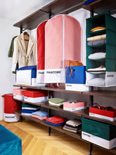 Carica l'immagine nel visualizzatore di Gallery, PANTONE - Organizer Armadio Salvaspazio da Appendere 5 Scomparti Abiti e Accessori, Organizzatore Armadio Verticale Pieghevole, Divisori per Armadio Interno Portaoggetti e Vestiti 84x30x30 cm