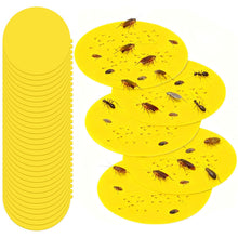 Carica l'immagine nel visualizzatore di Gallery, Trappola per pulci per interni, 30 Pezzi Ricarica per Trappola Antipulci, Dischi Adesivi Circolari da 18 cm di Diametro,