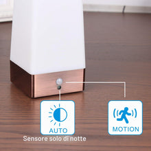 Carica l'immagine nel visualizzatore di Gallery, WRalwaysLX Luce notturna a LED retrò per casa, piccola lampada con sensore di movimento PIR LED wireless per interni ed 