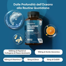 Carica l'immagine nel visualizzatore di Gallery, Collagene Marino Avanzato con Acido Ialuronico, Tipo I e III, Peptidi