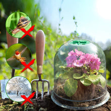 Carica l'immagine nel visualizzatore di Gallery, LATERN 10 Pezzi Copertura a Campane per Piante da Giardino, 26cm x 20cm Mini Serra in Plastica Riutilizzabile per Piante