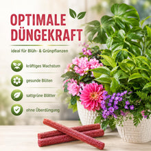 Carica l'immagine nel visualizzatore di Gallery, COM-FOUR® 150x bastoncini fertilizzanti, fertilizzante per fiori