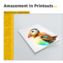 Carica l&#39;immagine nel visualizzatore di Gallery, CMYBabee 302 XL 302XL Cartucce d&#39;inchiostro Rigenerate per Cartucce HP 302 Nero e Colore per Envy 4520 4522 4527 DeskJet 1110 2130 3630 3632 3634 3636 Officejet 3830 3833 3834 4650 4657 5220 5230 5232