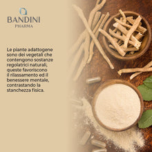 Carica l'immagine nel visualizzatore di Gallery, Bandini® Ashwagandha BIO KSM-66® Vegan (180 Capsule) - Withania Somnifera