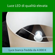 Carica l'immagine nel visualizzatore di Gallery, PHILIPS Classic ultra-efficient LED bulb with energy efficiency class A, E27 base, replaces 40W, clear, cool white light