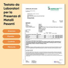 Carica l'immagine nel visualizzatore di Gallery, Curcuma Capsule Vegane, 365 Capsule, 1 Anno di Scorta, 1 al Giorno