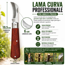 Carica l'immagine nel visualizzatore di Gallery, topolenashop Coltello da Innesto a Roncola Pieghevole 19,5 cm con Lama Curva 6 cm in Acciaio Inox e Manico in Legno – Co