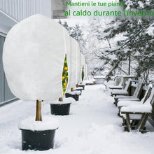Carica l'immagine nel visualizzatore di Gallery, Cappuccio Protezione Piante Inverno, 210 x 180 cm, 2 pezzi