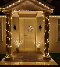 Carica l'immagine nel visualizzatore di Gallery, EAMBRITE Illuminazione decorativa per casa, con rami di betulla bianchi a 60 luci LED, per esterni, splendida decorazione per Natale, Pasqua, Halloween, feste