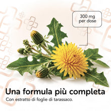 Carica l'immagine nel visualizzatore di Gallery, Bromelina 5000 GDU/g 1200 mg con Tarassaco Drenante PiùLife, 180 Capsule
