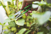 Carica l'immagine nel visualizzatore di Gallery, R&amp;R SHOP Forbici di Precisione Kit - Trimming, Potatura per Bonsai, Special Grip di Precisione, Piccole Forbici di Alta 