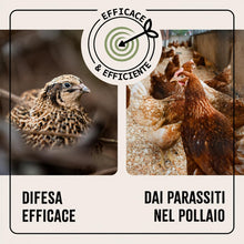Carica l'immagine nel visualizzatore di Gallery, AniForte Spray Antiacaro per Polli, Galline e Pollame 500ml – Antiparassitario Contro Acari, Pidocchi e Parassiti, Spray
