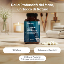 Carica l'immagine nel visualizzatore di Gallery, Collagene Marino Idrolizzato da 1200mg per Dose, 100% Puro, in 120 Capsule, Peptidi di Collagene Idrolizzato di Tipo 1 e 3 (2 Mesi di Scorta), Privo di Magnesio Stearato e Senza Glutine né Additivi