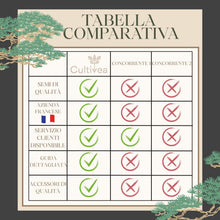Carica l'immagine nel visualizzatore di Gallery, CULTIVEA® Kit Bonsai Box Experience – Bonsai Kit Completo per Principianti con Semi di Bonsai, Vasi, Attrezzi e Guida – 