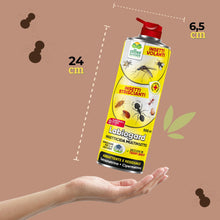 Carica l'immagine nel visualizzatore di Gallery, Albagarden - Insetticida Formiche E Scarafaggi Per Ambienti - Insetticida Multinsetto Contro Zanzare Mosche Vespe E Tutt