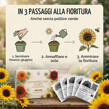 Carica l'immagine nel visualizzatore di Gallery, Semi di girasole colorati con alto tasso di germinazione - semi di fiori per un giardino colorato e accogliente per le a