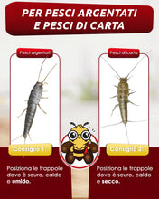 Carica l'immagine nel visualizzatore di Gallery, PIC Trappole per Pesciolini d'Argento 20 Pezzi – Contro Pesciolini di Carta